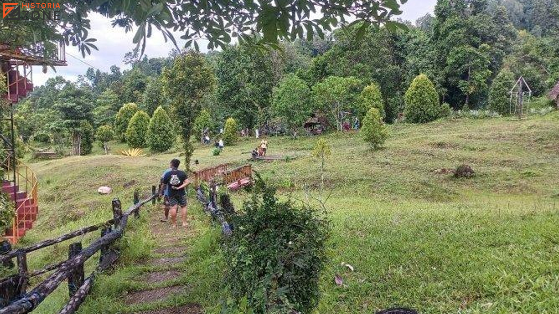 Menatap Laut, Menggali Masa Lalu di Sejarah Rumah Pohon Waai