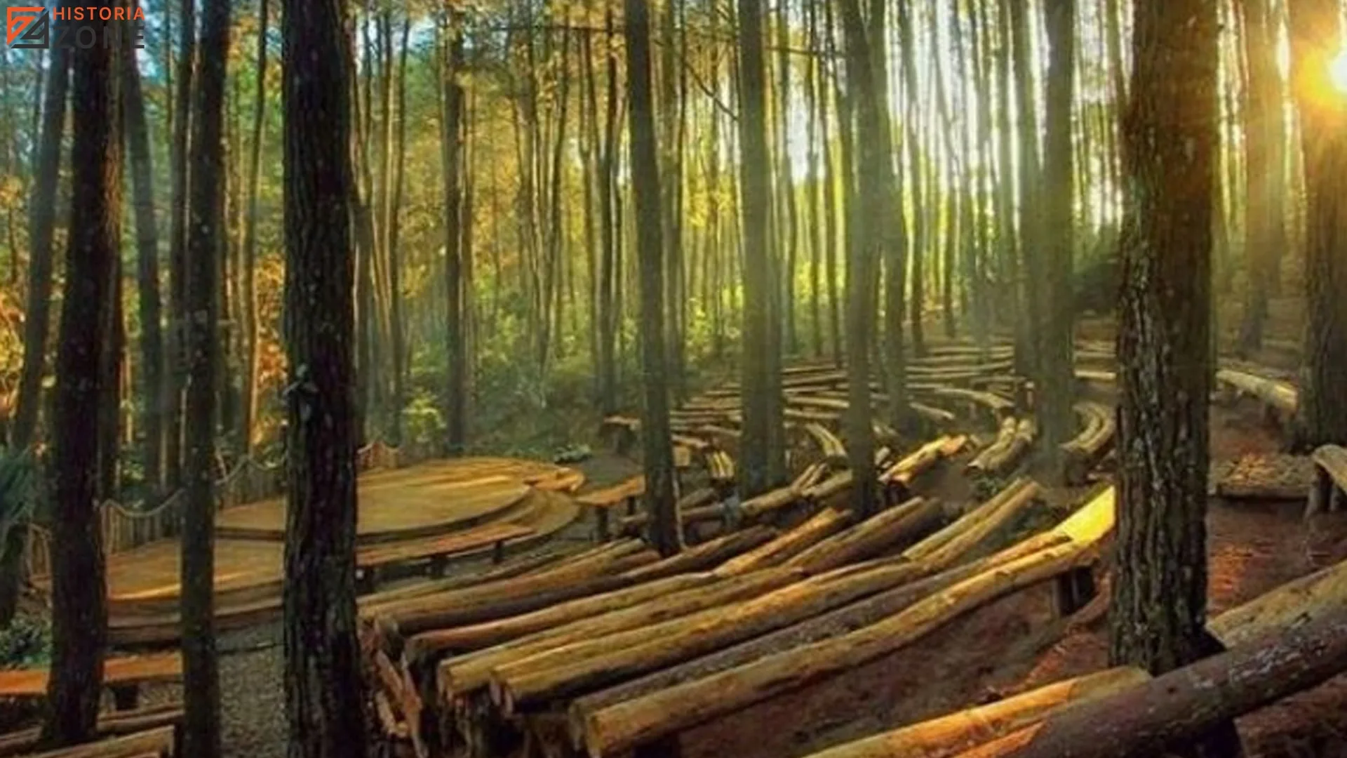 Jelajah Alam dan 5 Fakta Menarik Sejarah Hutan Pinus Mangunan