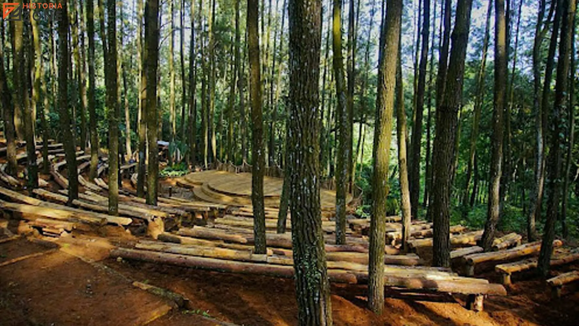 Jelajah Alam dan 5 Fakta Menarik Sejarah Hutan Pinus Mangunan